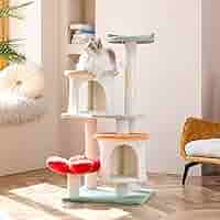 Mother Cat ラプレＬ＆オプション Amazon.com : Kitty City Claw Mega Kit 2.0 Furniture, Cat